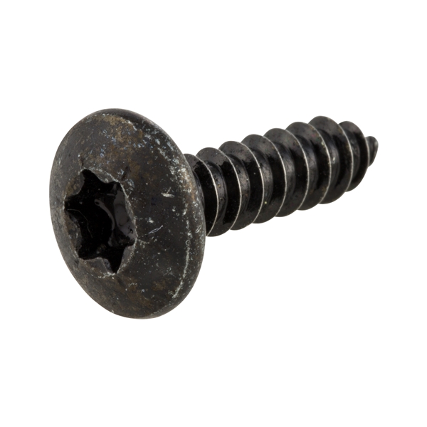 blechschraube-verkleidung-4-2x16-mm-torx-piaggio_PI178601.jpg