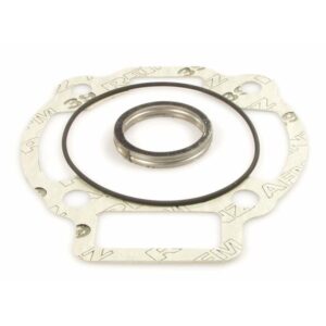 Dichtsatz Zylinder MALOSSI fuer Art.-Nr. M318237 172 ccm