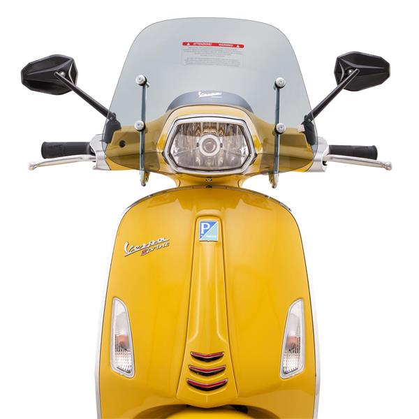 flyscreen-piaggio-cruiser_PI116200.jpg