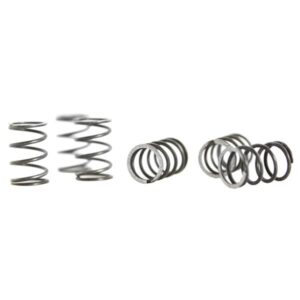 Kupplungsfedern PASCOLI Standard fuer Vespa 98/125 V1-15T/V30-33T/VM/VU/VN1T -> 06000 fuer Vespa 98/125 V1-15T/V30-33T/VM/VU/VN1T -> 06000