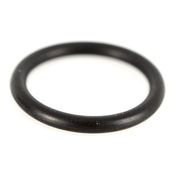 o-ring-piaggio-oleinfullschraube-motorol_PI479986.jpg