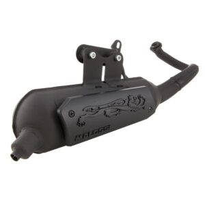 Rennauspuff MALOSSI Wild Lion fuer Vespa ET2/LX/LXV/S/Primavera 50ccm 50ccm 2T AC fuer Vespa ET2/LX/LXV/S/Primavera 50ccm 50ccm 2T AC