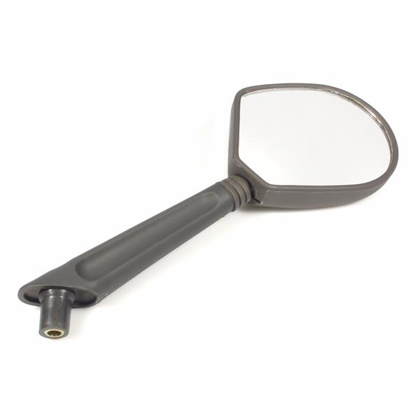 spiegel-piaggio-rechts_26805700.jpg