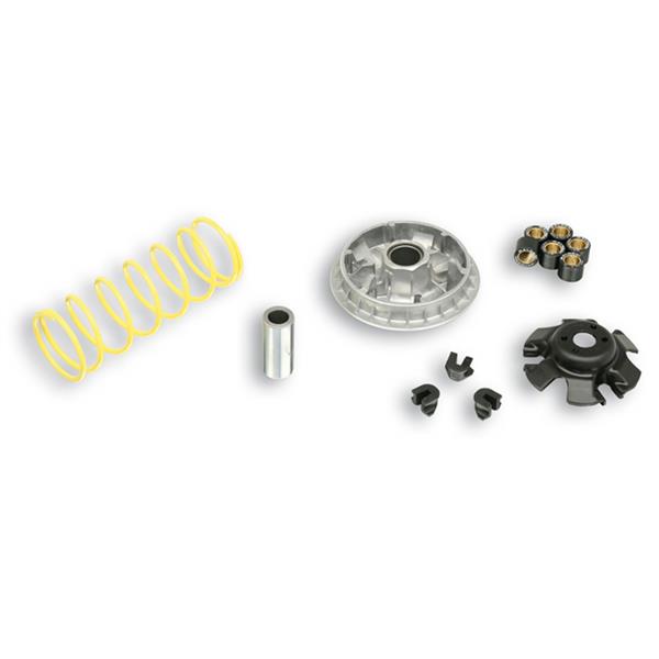 Variator MALOSSI Multivar fuer AIE Magamax (FBGM) fuer AIE Magamax (FBGM)