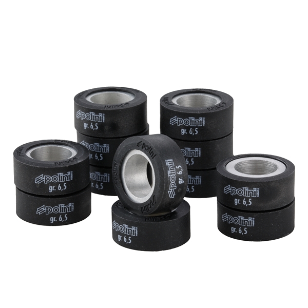 variatorrollen-polini-25x11-mm-6-5g_P242317.jpg
