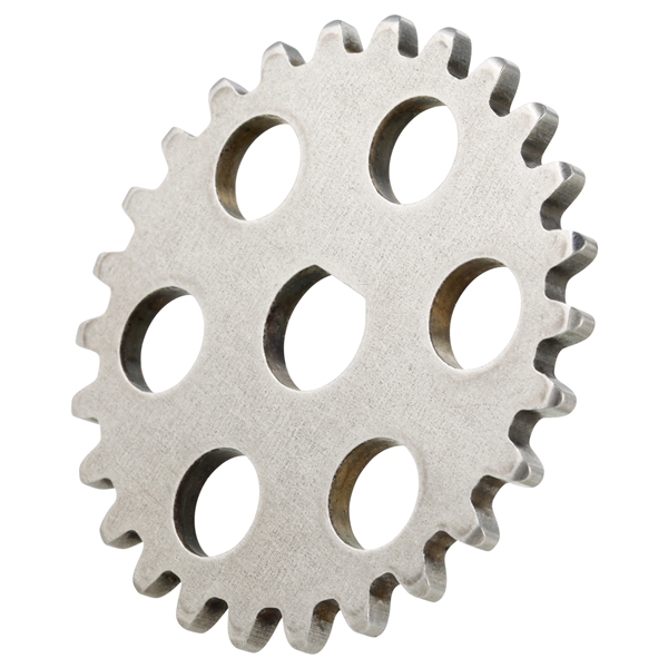 zahnrad-steuerkette-piaggio-olpumpe_PI013970.jpg