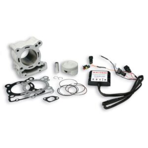 Zylinder MALOSSI I-Tech fuer APRILIA/DERBI RS/RS Replica GP/RS4/RX/SX/Tuono/Senda DRD 125ccm 4T LC fuer APRILIA/DERBI RS/RS Replica GP/RS4/RX/SX/Tuono/Senda DRD 125ccm 4T LC